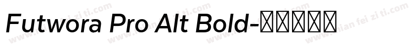 Futwora Pro Alt Bold字体转换